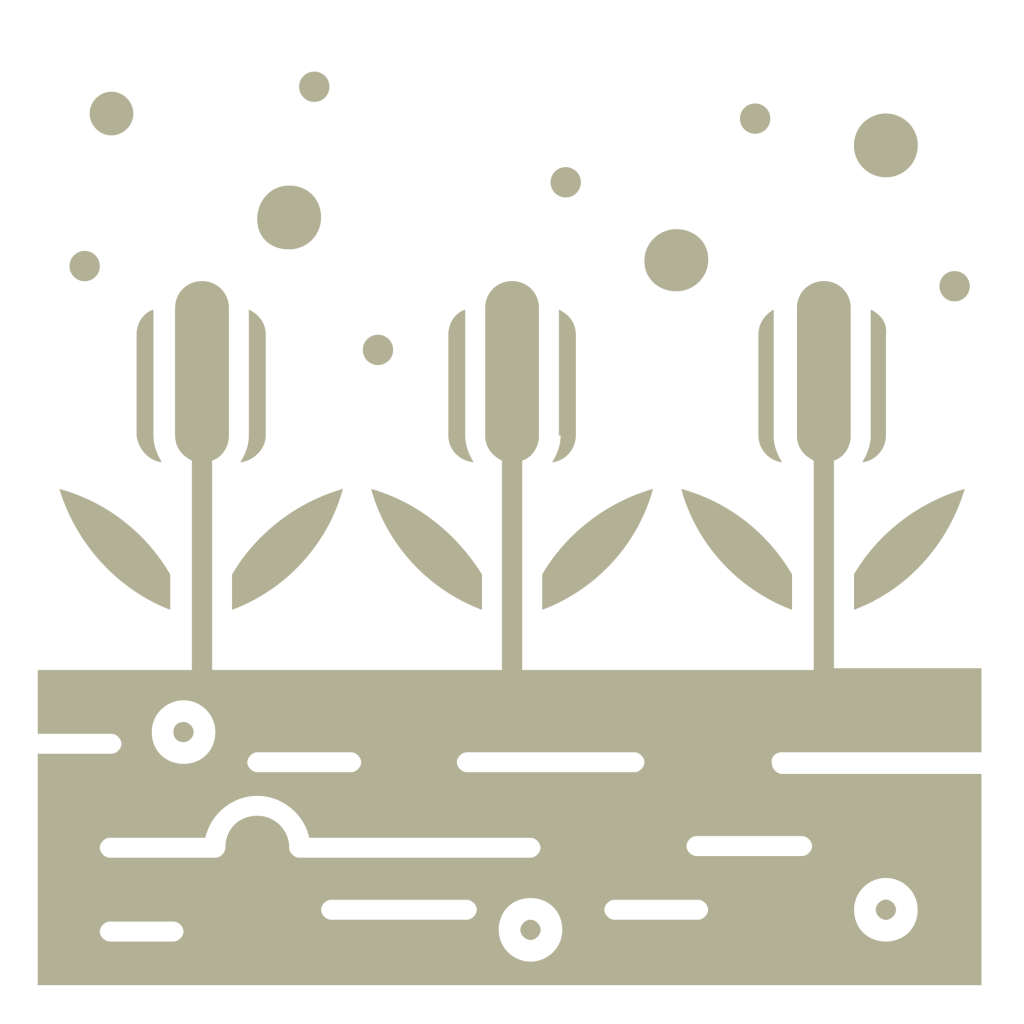 projektant ogrodów